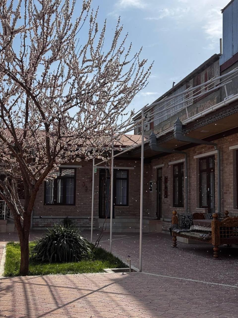 Salomat Guest House Samarkand Exteriör bild
